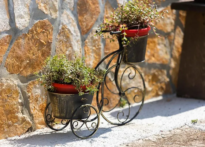 Kuca Za Odmor Pixie 펜션 *