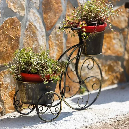 Kuca Za Odmor Pixie Dom wakacyjny *