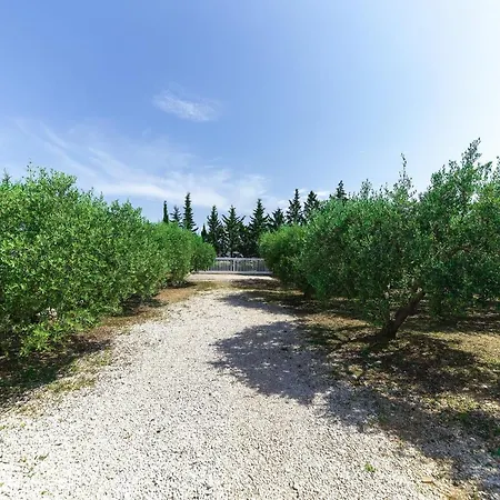 Dom wakacyjny Kuca Za Odmor Pixie Vrsi